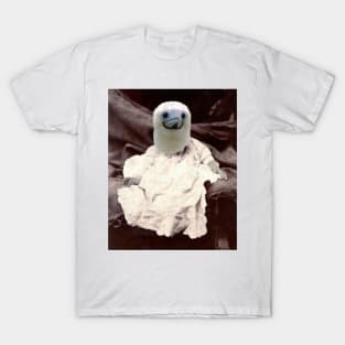 Baby Booby T-Shirt